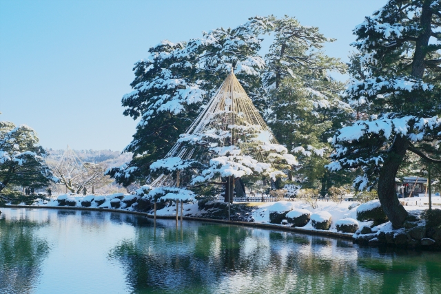 兼六園の雪吊り