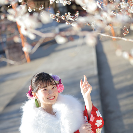 写真：桜の花びらを持つ振袖を着た女性